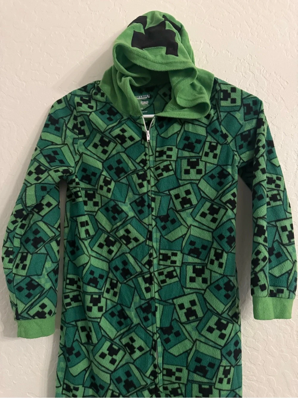 Minecraft green playful creeper
